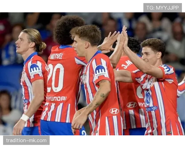 阿尔瓦雷斯体系适配与战术作用解析