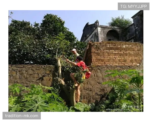 Rodrygo在4-4-2阵型中的战术角色解析