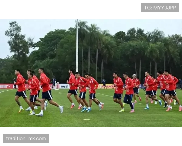 巴拉圭队能否重返2026世界杯 美加墨世预赛前景分析 巴拉圭队能否重返2026世界杯 美加墨世预赛前景分析